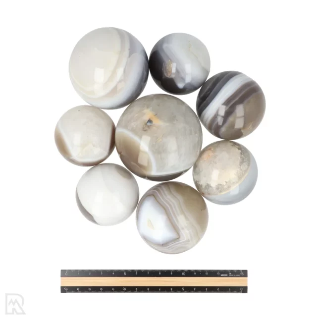 Agaat Bollen - Afbeelding 3