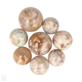 Bloem Agaat Bollen uit Madagaskar met artikelnummer 1017