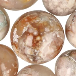 Bloem Agaat Bollen uit Madagaskar met artikelnummer 1017