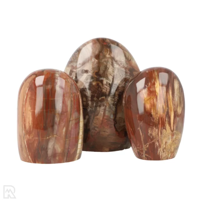 Versteend Hout Sculpturen