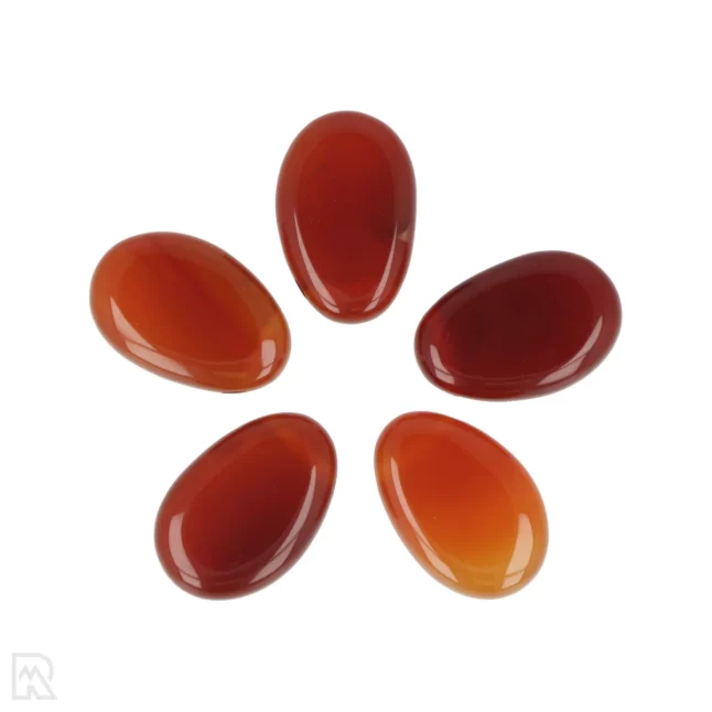 Carnelian Pierced Pendant