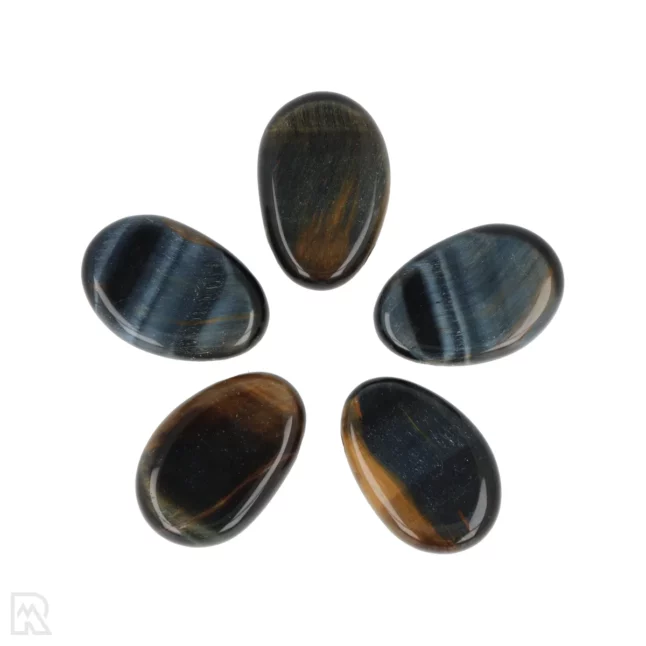 Falcon's Eye Pierced Pendant