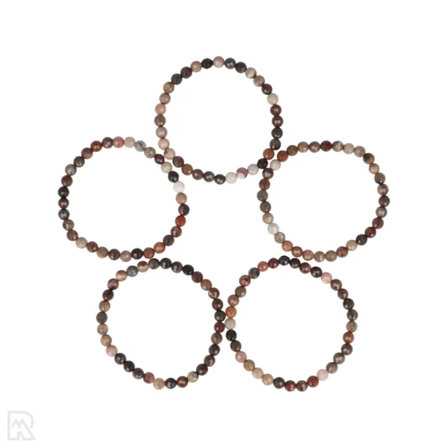 Versteend Hout Facetarmband | 6 mm