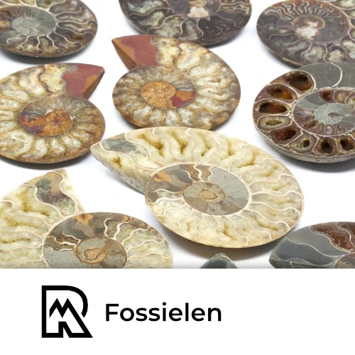 Fossielen AAA