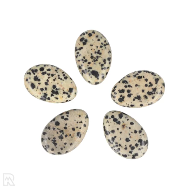 Dalmatian Jasper Pierced Pendant from China with item number 5969