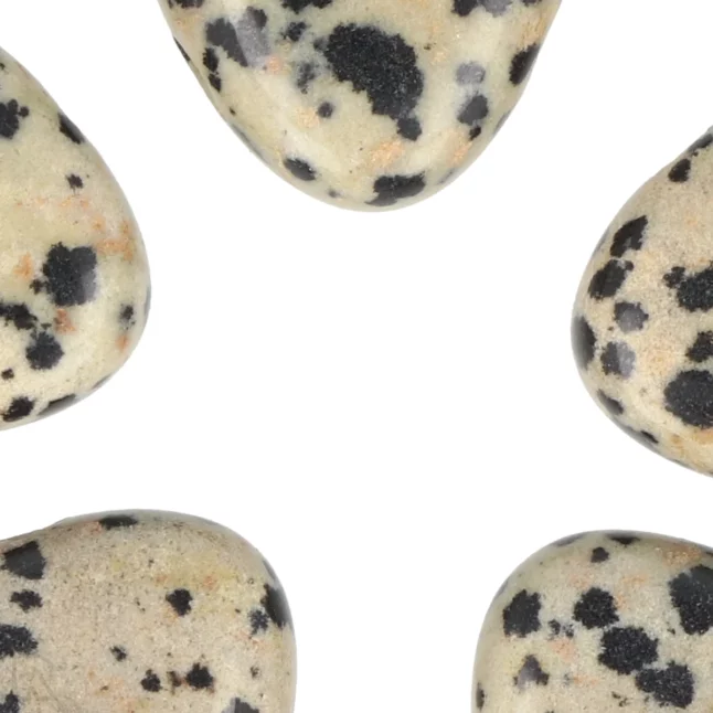 Dalmatian Jasper Pierced Pendant from China with item number 5969