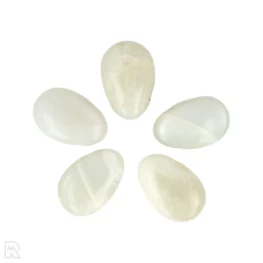 Witte Maansteen Doorboorde Hanger uit China met artikelnummer 5990