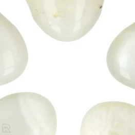 Witte Maansteen Doorboorde Hanger uit China met artikelnummer 5990