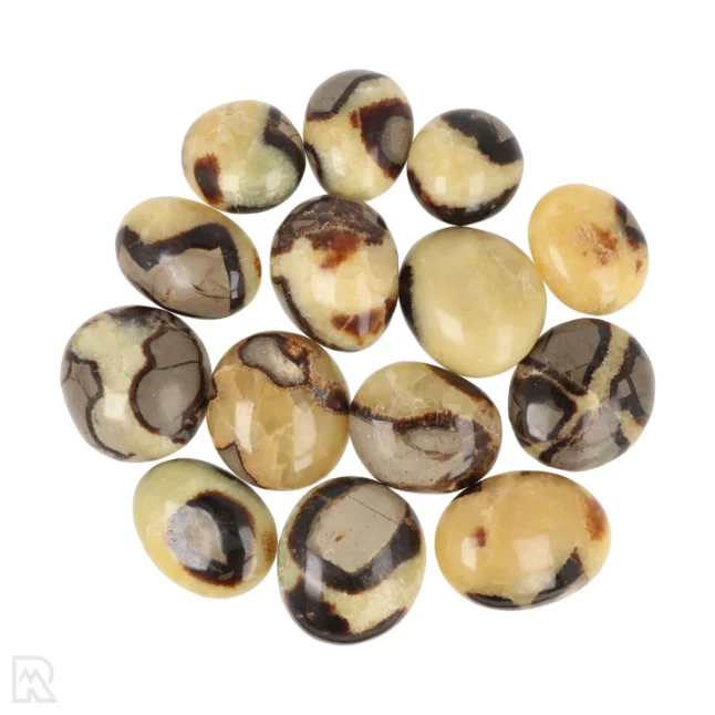 Septarie Handstenen