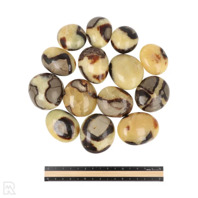 Septarie Handstenen - Afbeelding 3