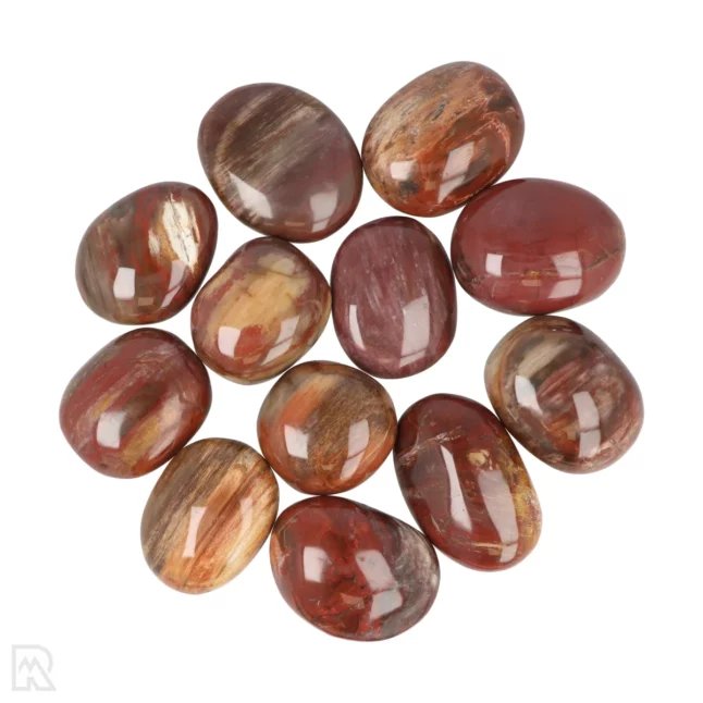 Versteinertes Holz Hand Stones