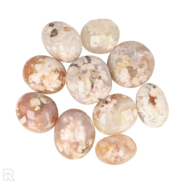 Flower Agate Handstones