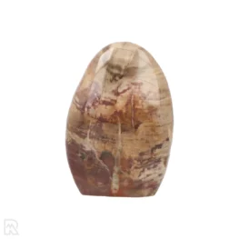Versteend Hout Sculptuur uit Madagaskar met artikelnummer 19921