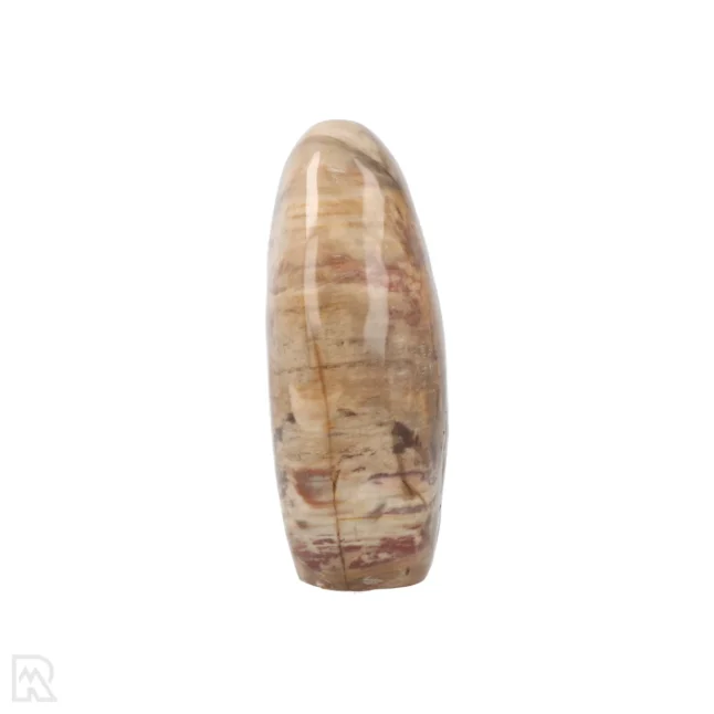 Versteend Hout Sculptuur uit Madagaskar met artikelnummer 19921
