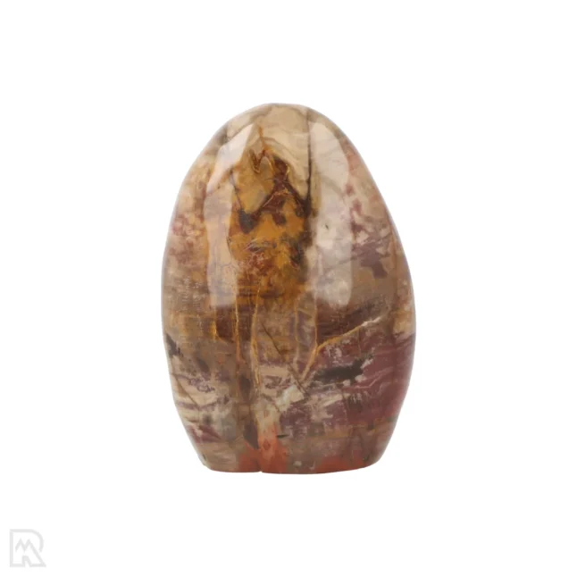 Versteend Hout Sculptuur uit Madagaskar met artikelnummer 19921