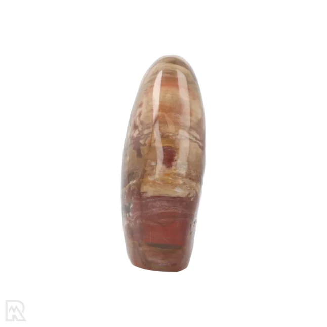 Versteend Hout Sculptuur uit Madagaskar met artikelnummer 19921