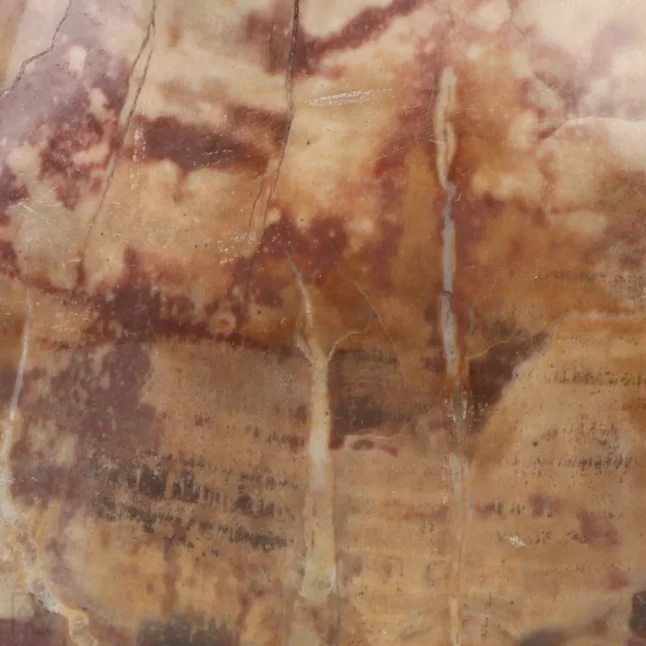 Versteend Hout Sculptuur uit Madagaskar met artikelnummer 19921