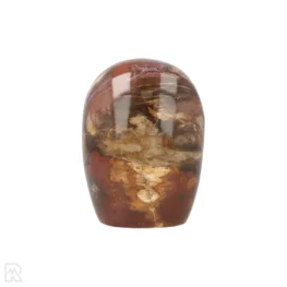 Versteend Hout Sculptuur uit Madagaskar met artikelnummer 19922