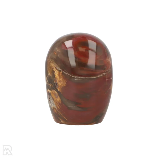 Versteend Hout Sculptuur uit Madagaskar met artikelnummer 19922