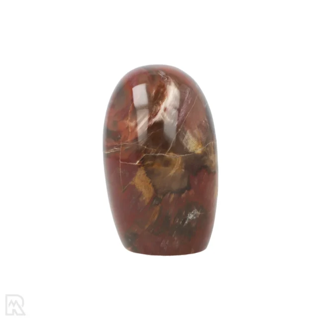 Versteend Hout Sculptuur uit Madagaskar met artikelnummer 19922