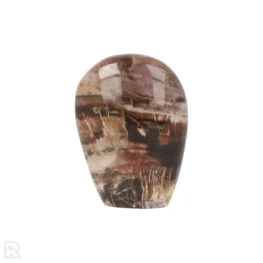 Versteend Hout Sculptuur uit Madagaskar met artikelnummer 19923