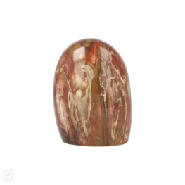 Versteend Hout Sculptuur uit Madagaskar met artikelnummer 19924