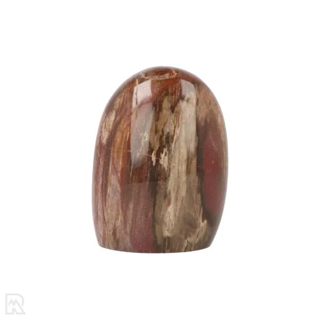 Versteend Hout Sculptuur uit Madagaskar met artikelnummer 19924