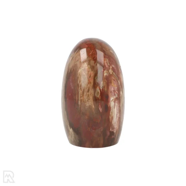 Versteend Hout Sculptuur uit Madagaskar met artikelnummer 19924