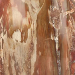 Versteend Hout Sculptuur uit Madagaskar met artikelnummer 19924