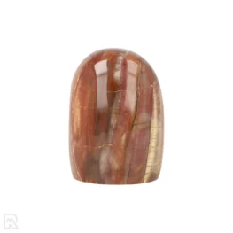 Versteend Hout Sculptuur uit Madagaskar met artikelnummer 19926