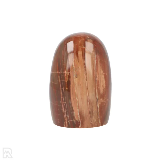 Versteend Hout Sculptuur uit Madagaskar met artikelnummer 19926