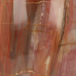Versteend Hout Sculptuur uit Madagaskar met artikelnummer 19926