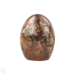 Versteend Hout Sculptuur uit Madagaskar met artikelnummer 19927