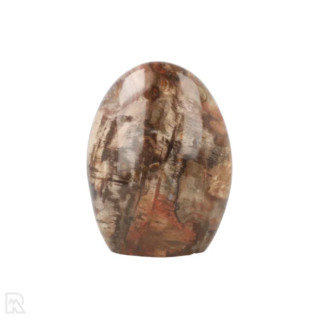 Versteend Hout Sculptuur uit Madagaskar met artikelnummer 19927