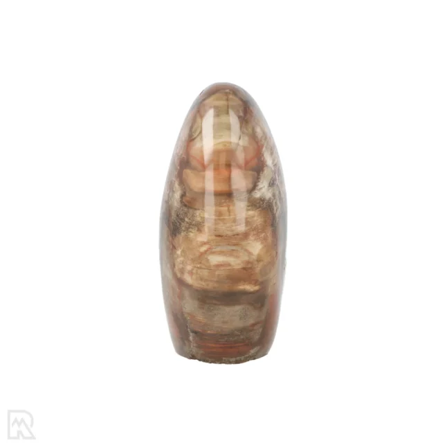Versteend Hout Sculptuur uit Madagaskar met artikelnummer 19927
