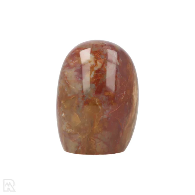 Versteend Hout Sculptuur uit Madagaskar met artikelnummer 19928