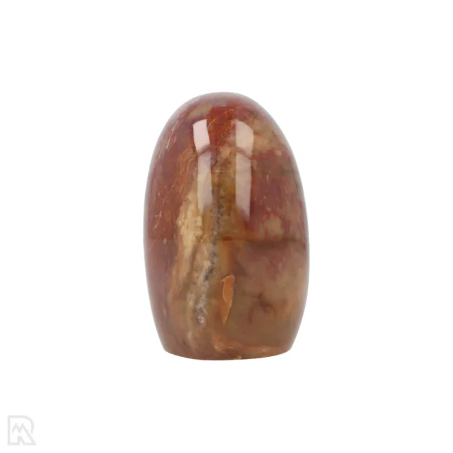 Versteend Hout Sculptuur uit Madagaskar met artikelnummer 19928