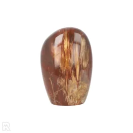 Versteend Hout Sculptuur uit Madagaskar met artikelnummer 19929