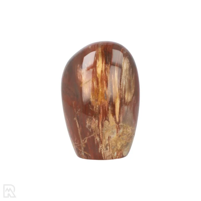 Versteend Hout Sculptuur uit Madagaskar met artikelnummer 19929