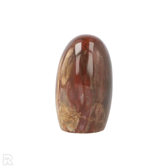 Versteend Hout Sculptuur uit Madagaskar met artikelnummer 19929