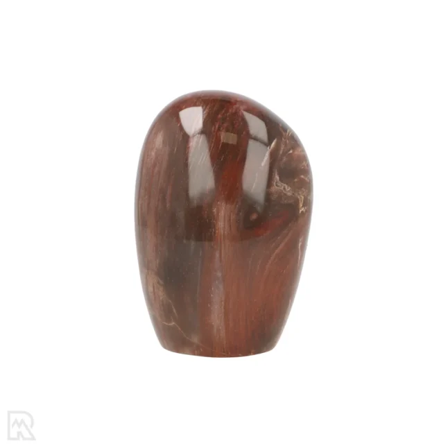 Versteend Hout Sculptuur uit Madagaskar met artikelnummer 19929