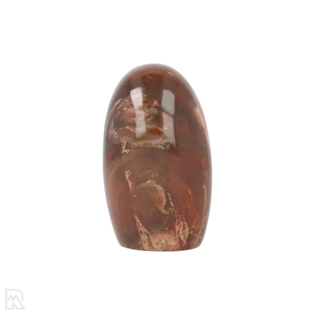 Versteend Hout Sculptuur uit Madagaskar met artikelnummer 19929