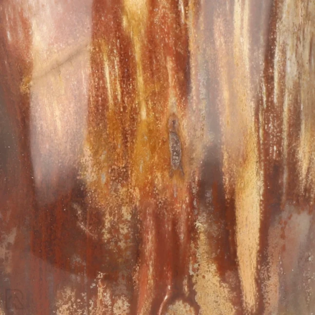 Versteend Hout Sculptuur uit Madagaskar met artikelnummer 19929