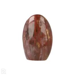 Versteend Hout Sculptuur uit Madagaskar met artikelnummer 19930