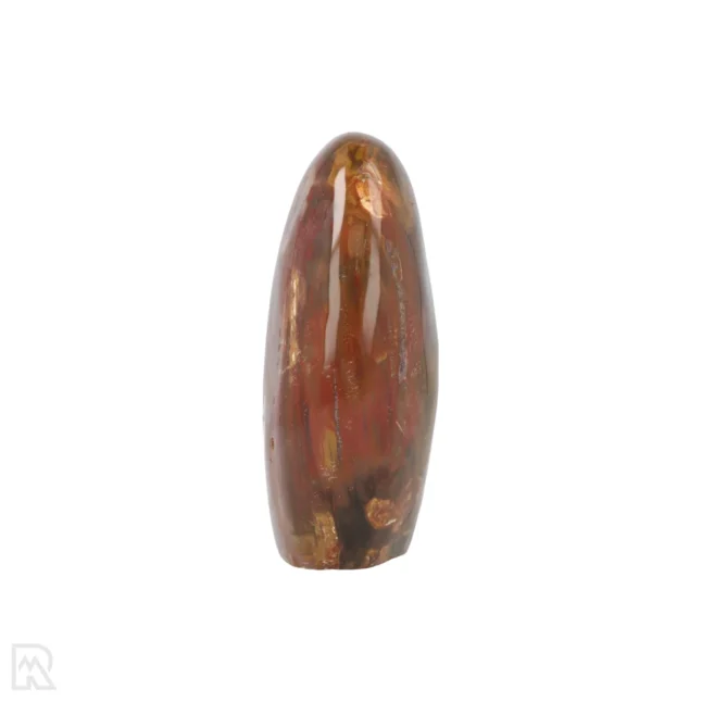 Versteend Hout Sculptuur uit Madagaskar met artikelnummer 19930