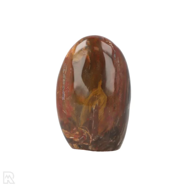 Versteend Hout Sculptuur uit Madagaskar met artikelnummer 19930