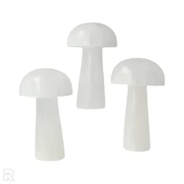 Selenit-Pilz | 10 cm
