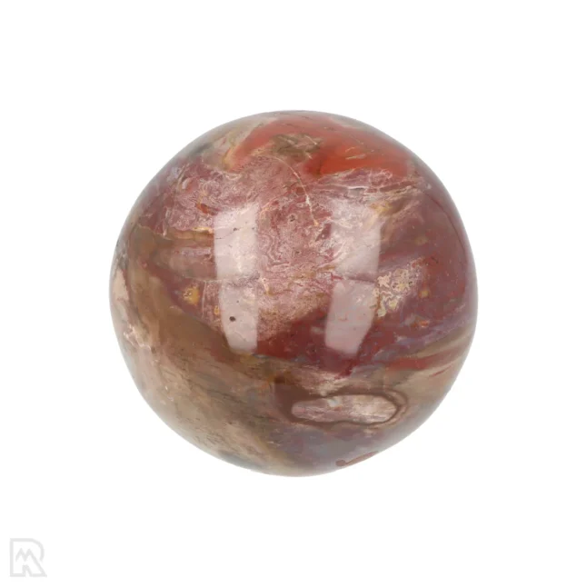Versteinerte Holzkugel aus Madagaskar mit der Artikelnummer 19979