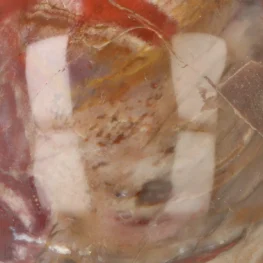 Versteinerte Holzkugel aus Madagaskar mit der Artikelnummer 19979