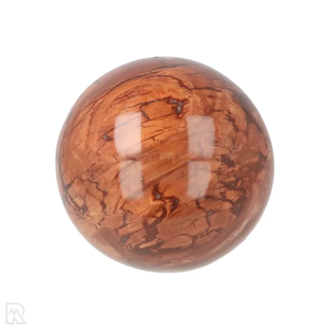 Versteinerte Holzkugel aus Madagaskar mit der Artikelnummer 19980